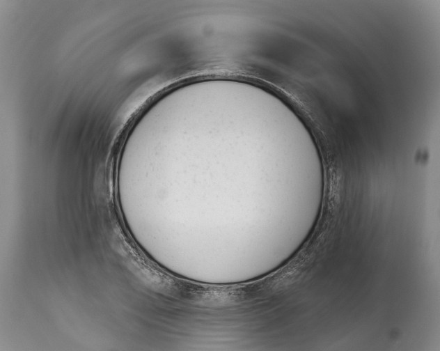 X0000115011078200911091415