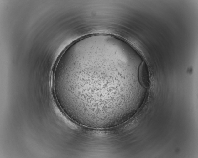 X0000115011084200911091415
