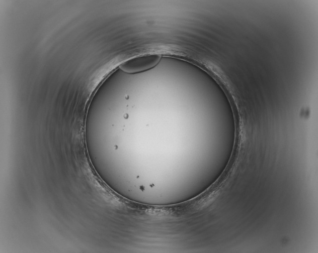 X0000115011089200911091415