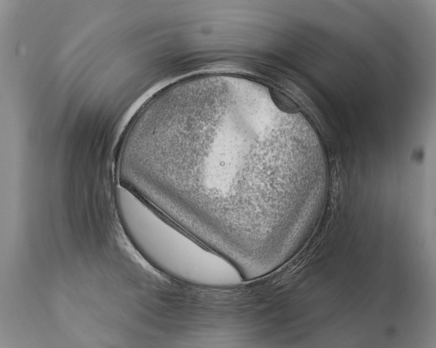 X0000115011092200911091415
