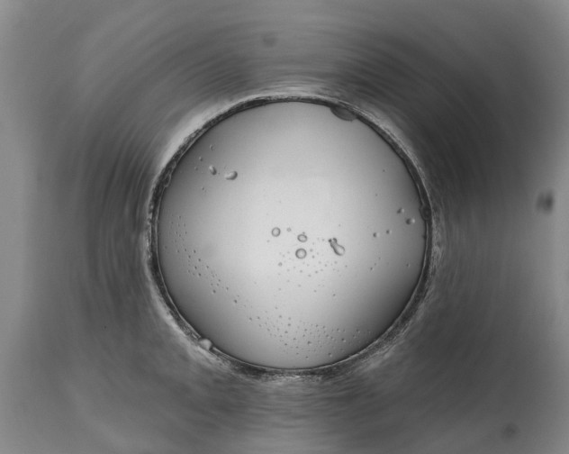 X0000115011093200911091415