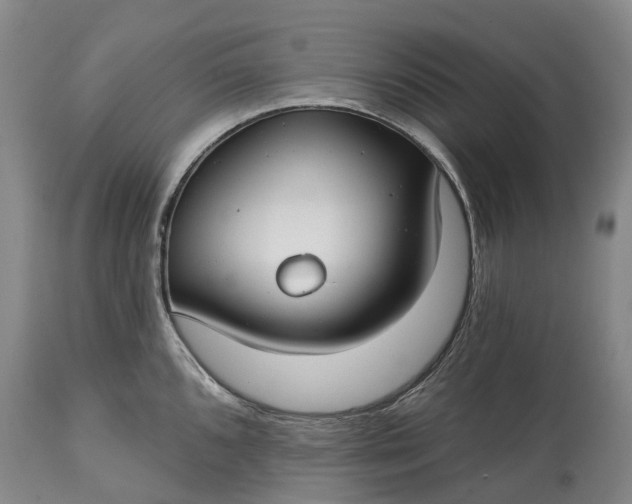 X0000115011096200911091415