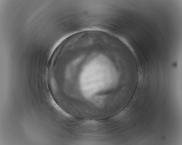 X0000115011100200911091415