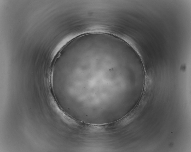 X0000115011101200911091415