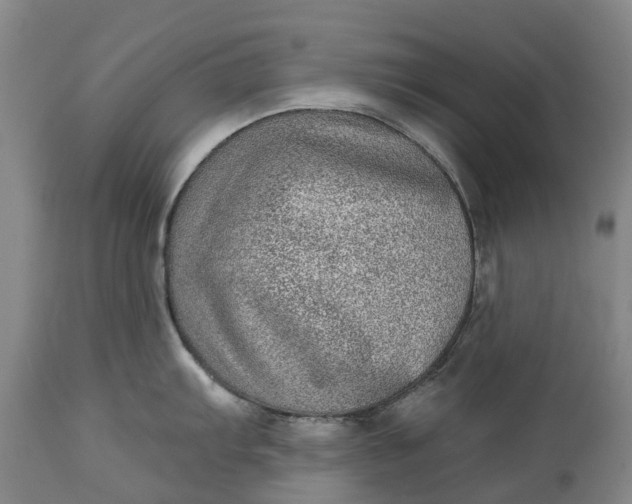 X0000115011103200911091415