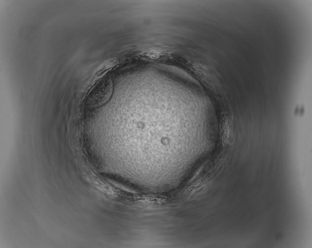 X0000115011105200911091414