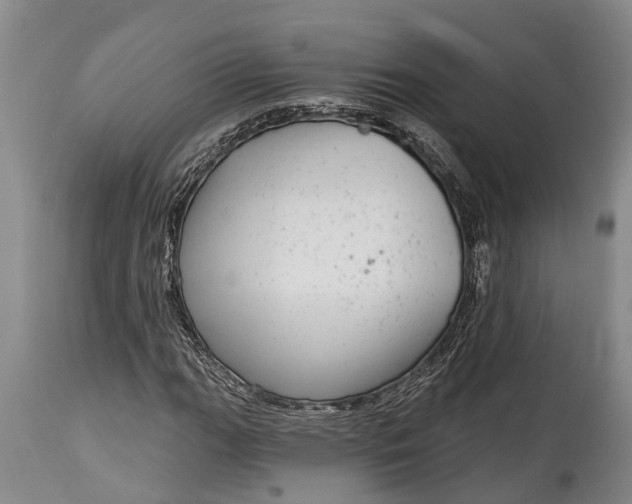 X0000115011111200911091414
