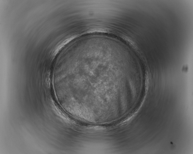 X0000115011113200911091415