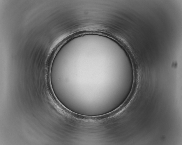 X0000115011114200911091415