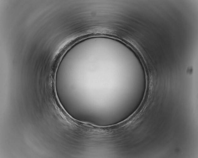 X0000115011115200911091415