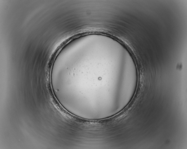X0000115011119200911091415