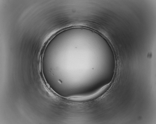 X0000115011127200911091415