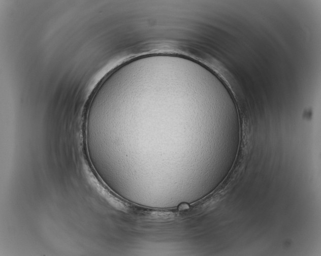 X0000115011142200911091415
