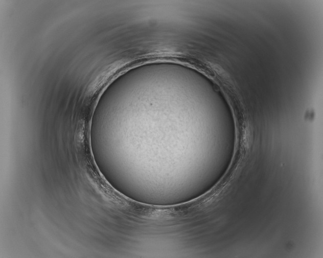 X0000115011161200911091414
