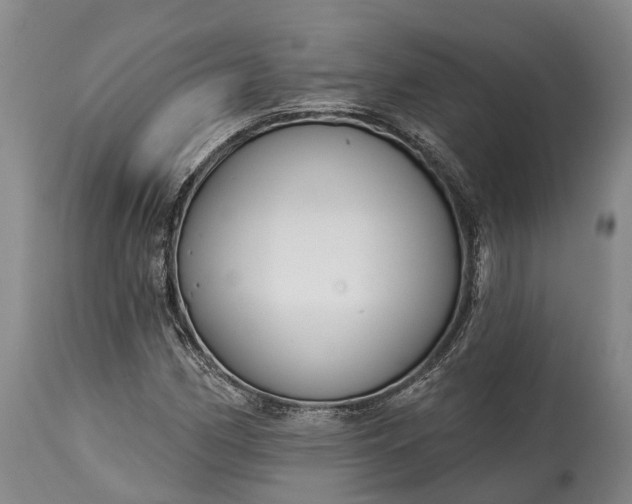 X0000115011162200911091414