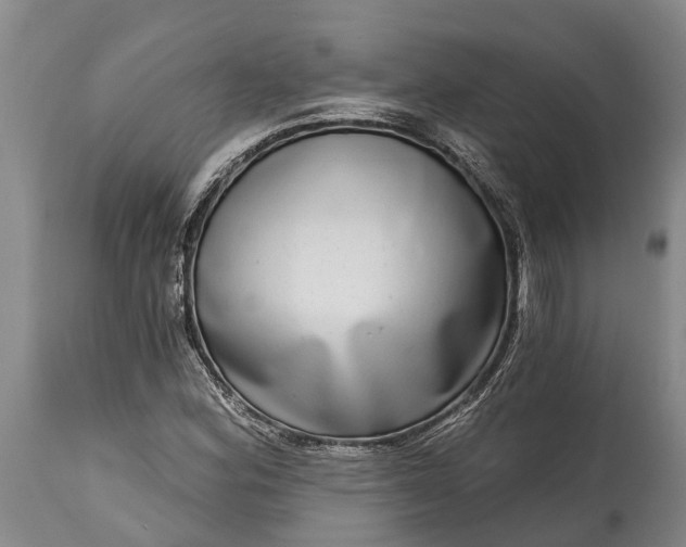 X0000115011164200911091414