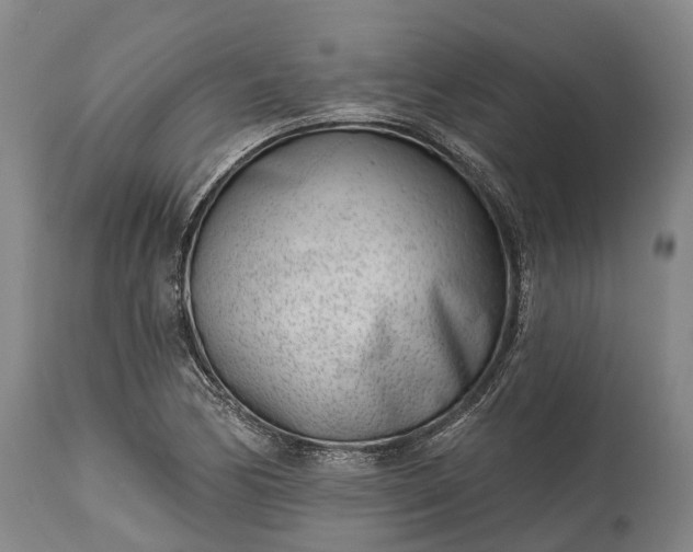 X0000115011170200911091414