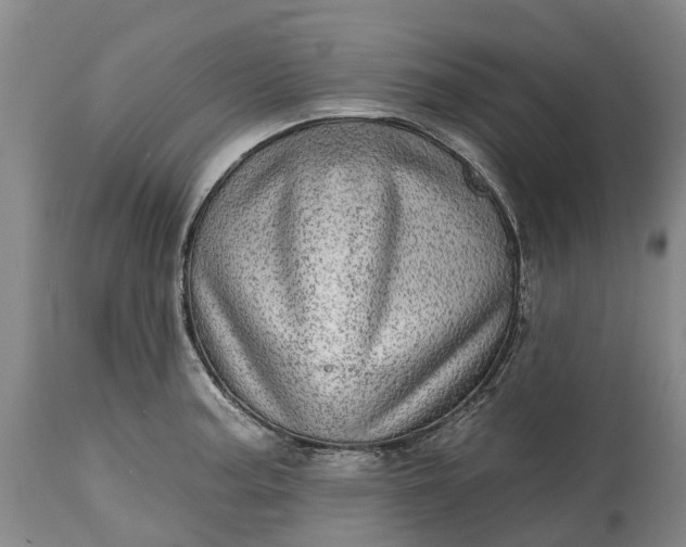 X0000115011187200911091414