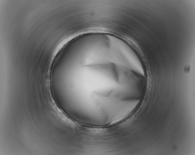 X0000115011192200911091414