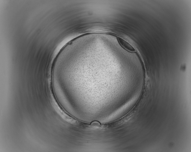 X0000115011195200911091414