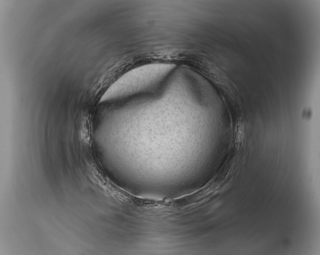 X0000115011202200911091413