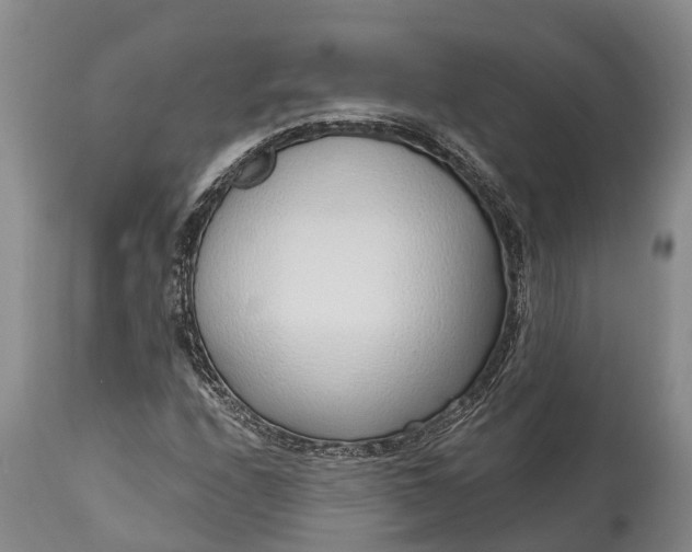 X0000115011208200911091413