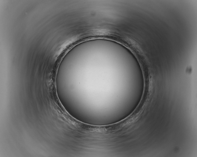 X0000115011210200911091413