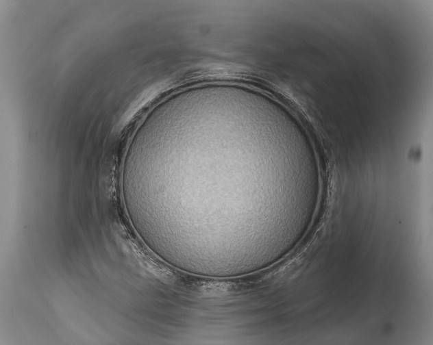 X0000115011211200911091413
