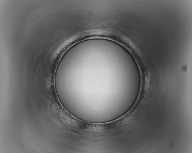 X0000115011213200911091413