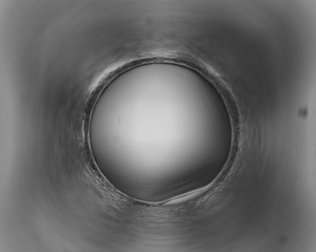 X0000115011214200911091413