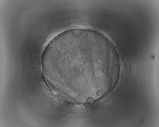 X0000115011215200911091413