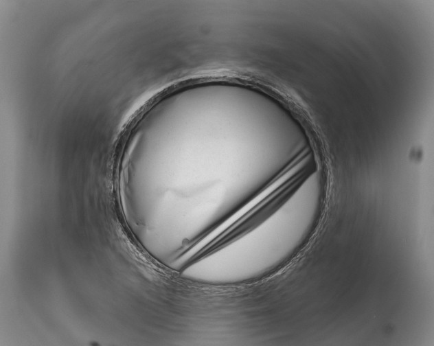 X0000115011216200911091413