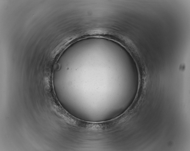 X0000115011217200911091413