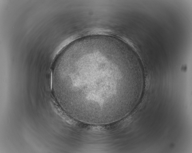 X0000115011219200911091413