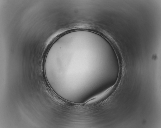 X0000115011222200911091413