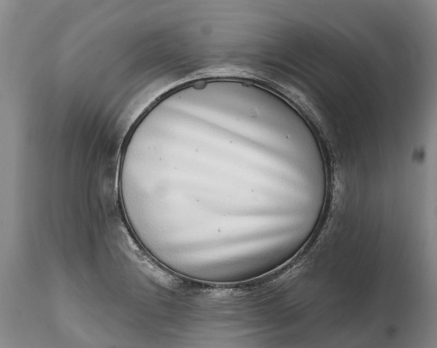X0000115011228200911091413