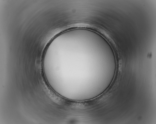 X0000115011229200911091413