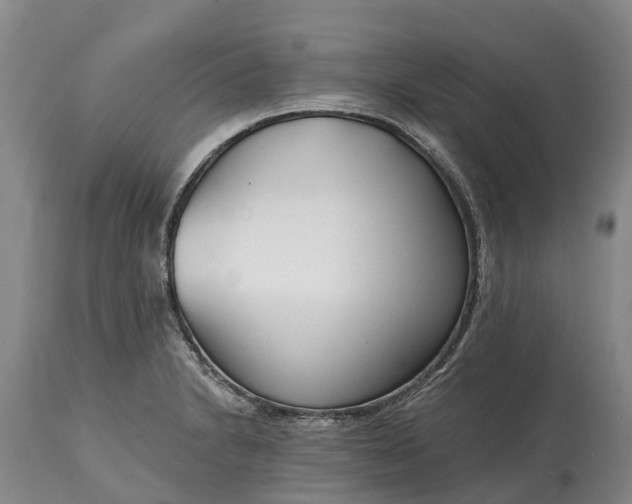 X0000115011230200911091413