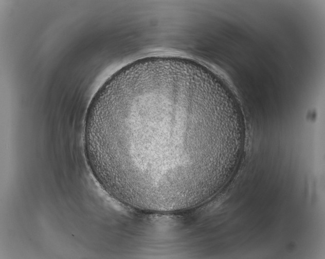 X0000115011231200911091413