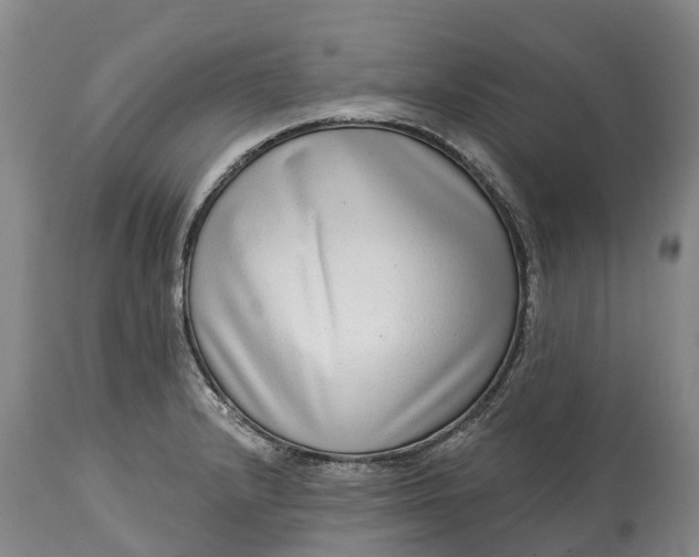 X0000115011232200911091413