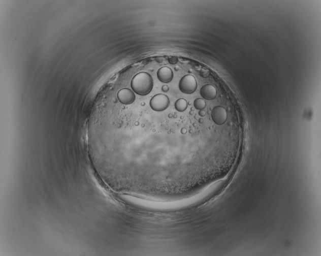 X0000115011241200911091413