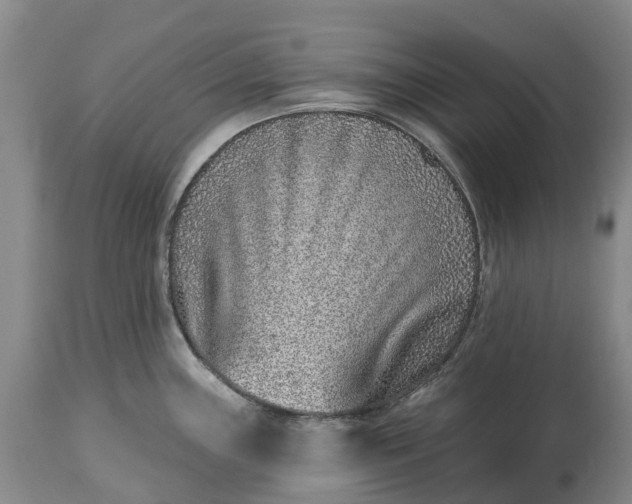 X0000115011243200911091413