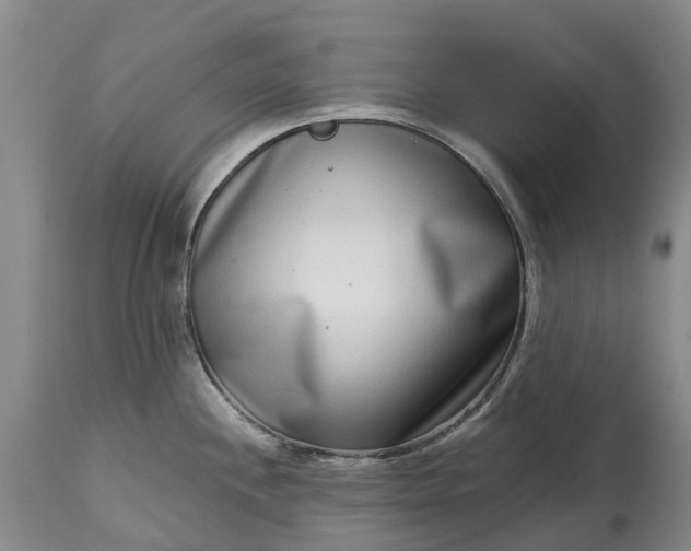 X0000115011244200911091414