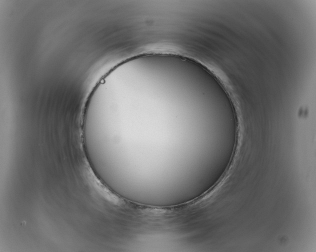 X0000115011248200911091414