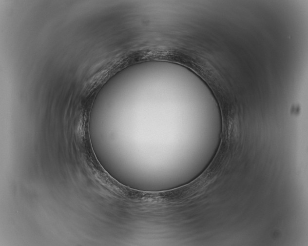 X0000115011250200911091413