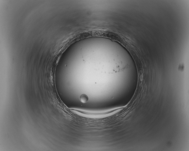 X0000115011252200911091413