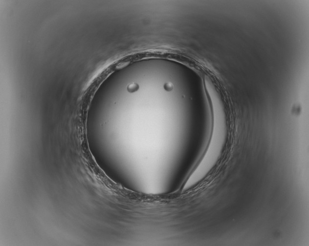 X0000115011256200911091413