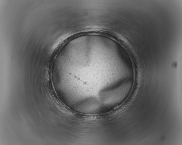 X0000115011259200911091413
