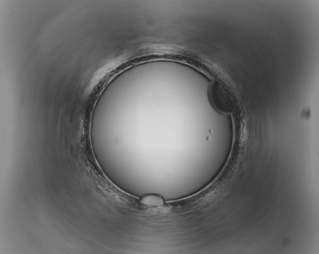 X0000115011261200911091413