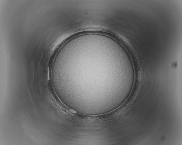 X0000115011267200911091413